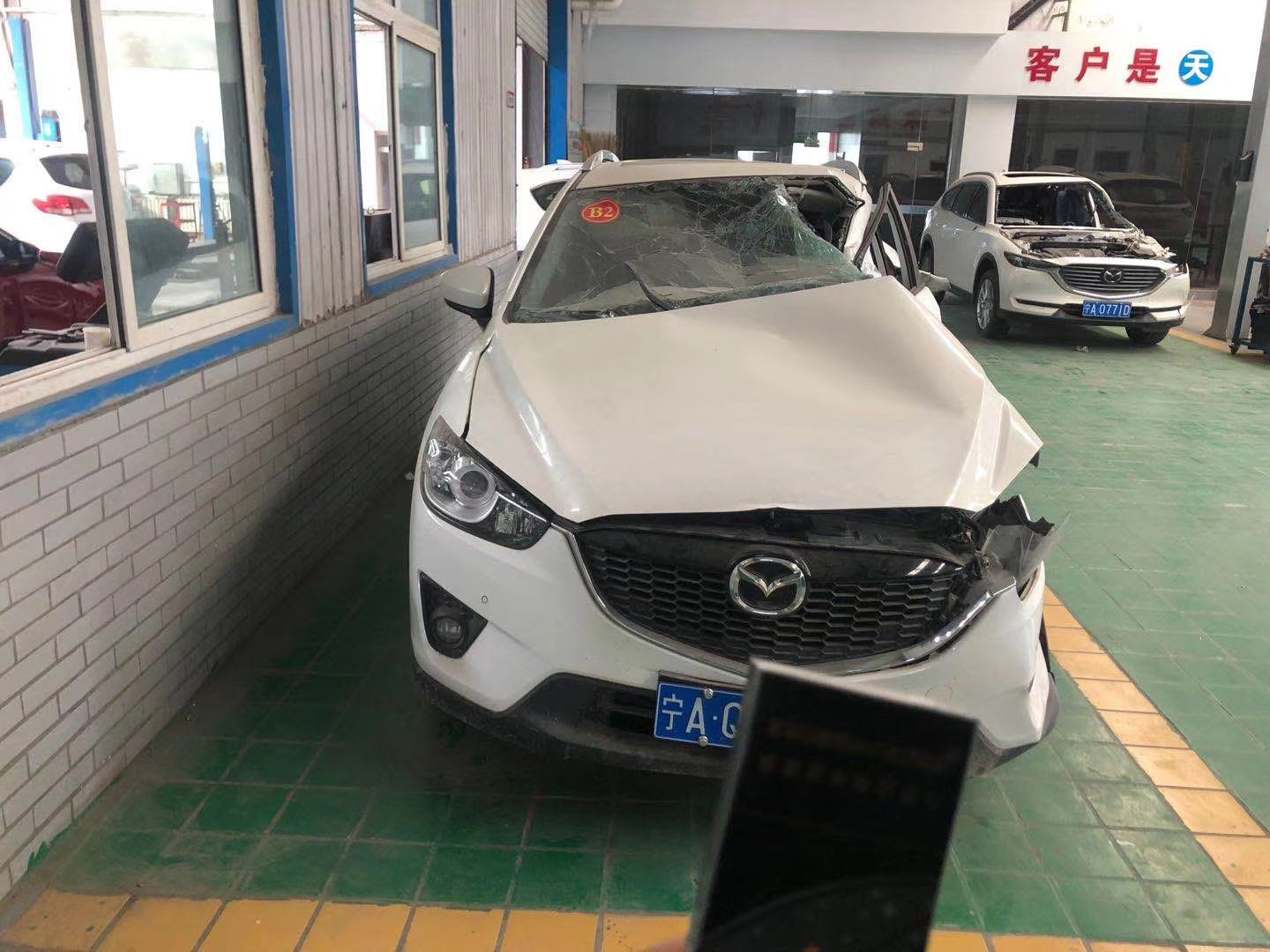 样照