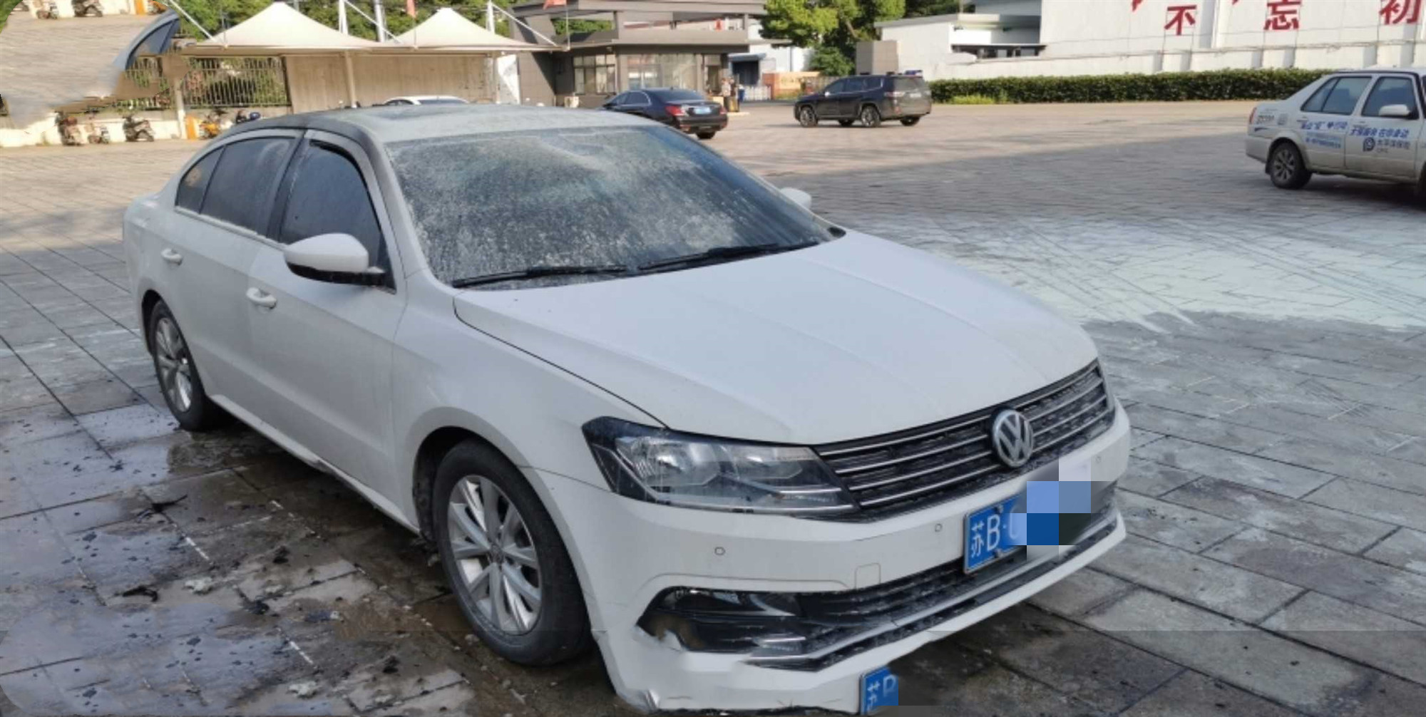 样照