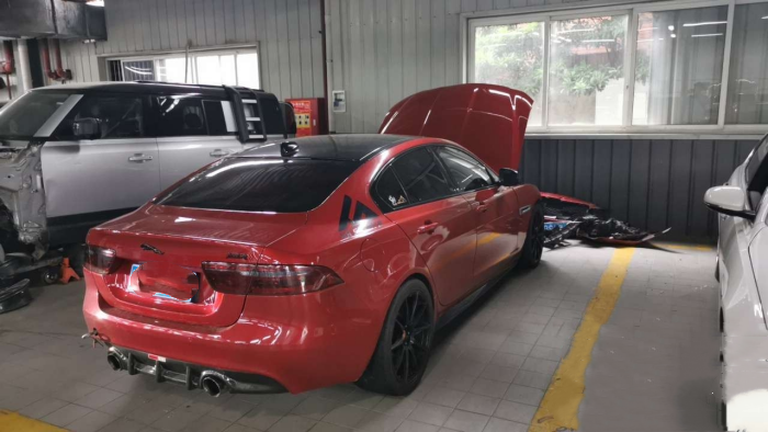 样照