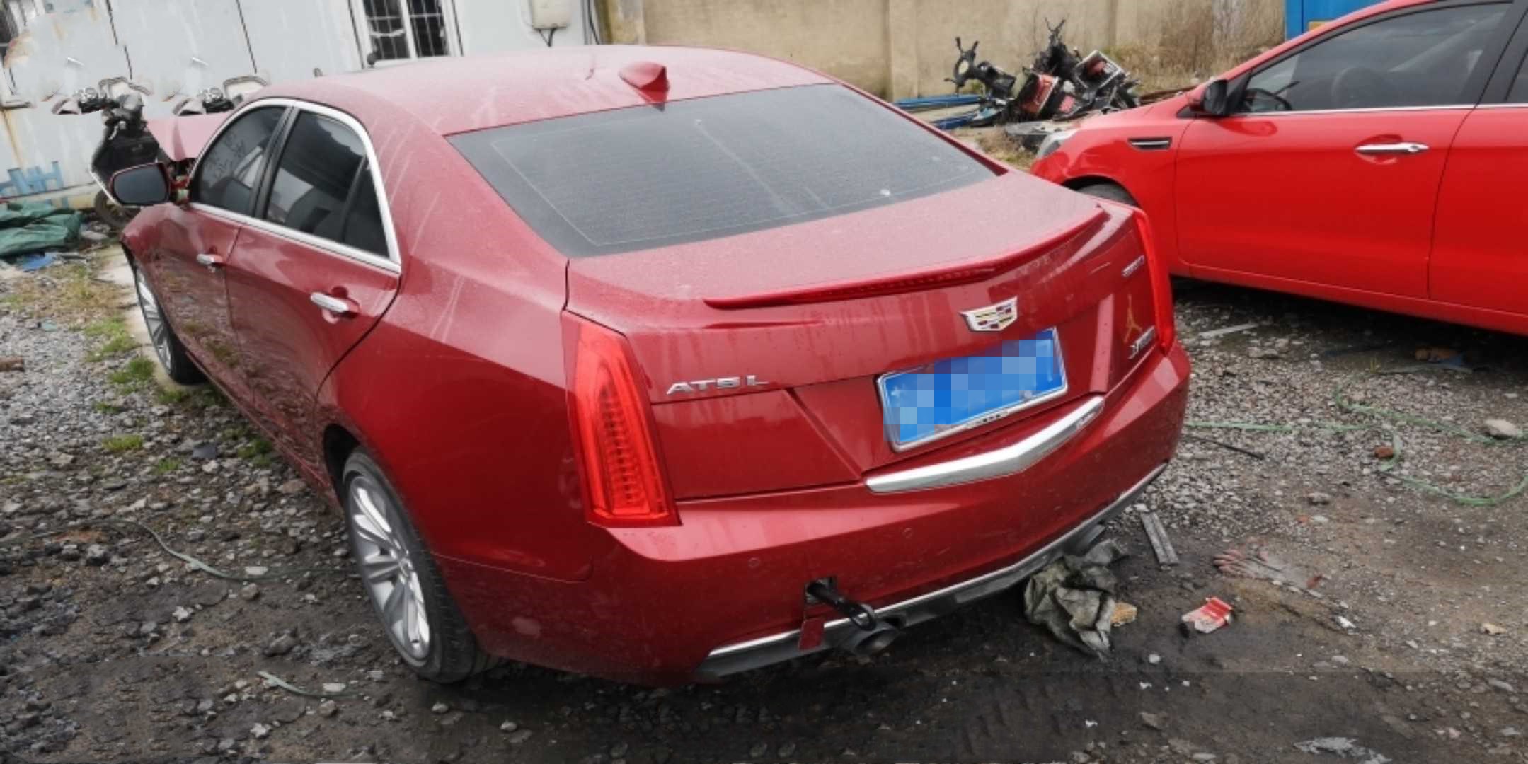 樣照