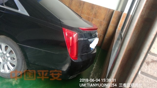 樣照