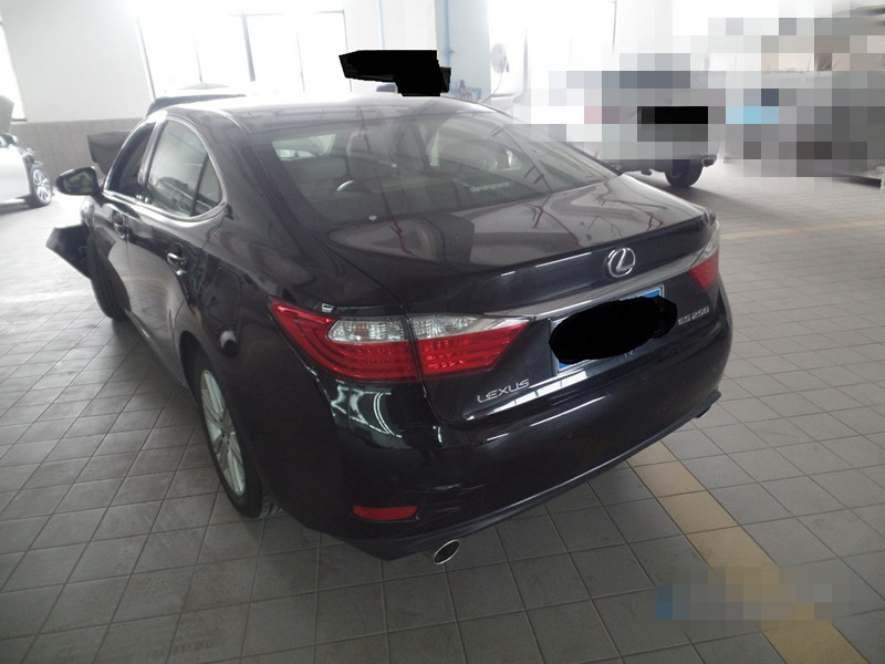样照