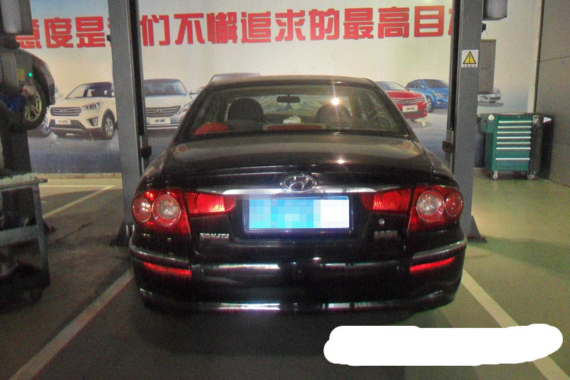样照