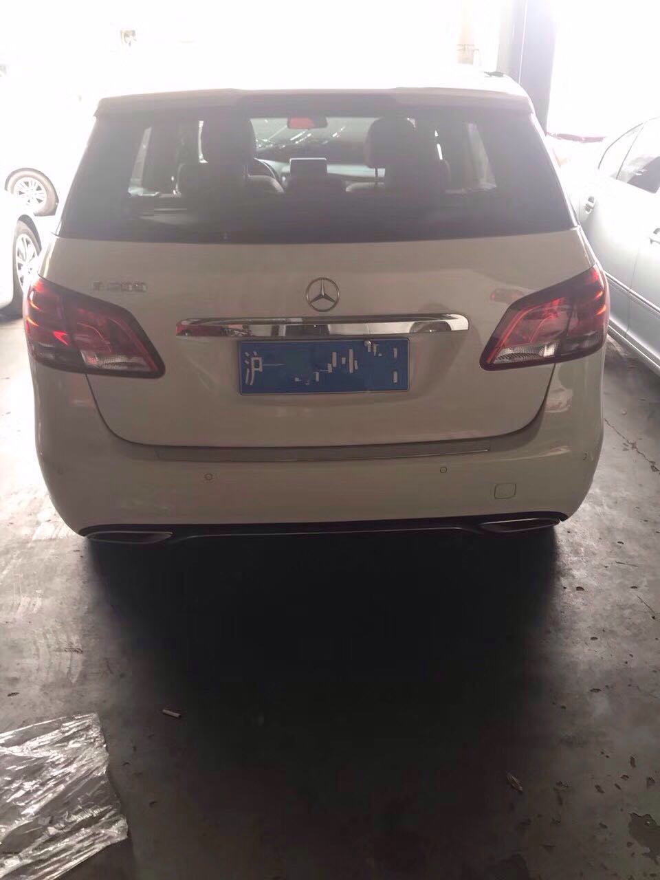 样照