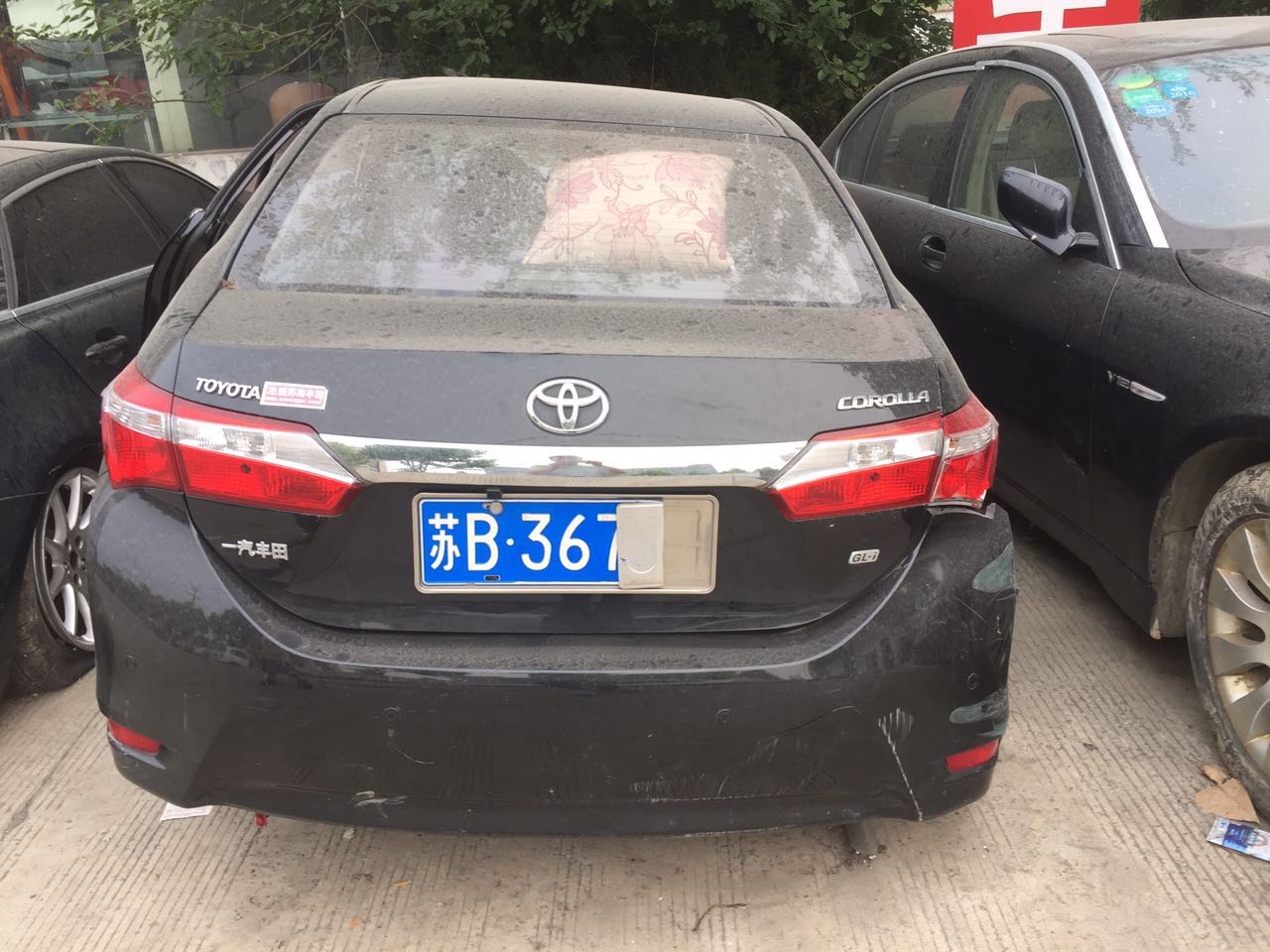 样照