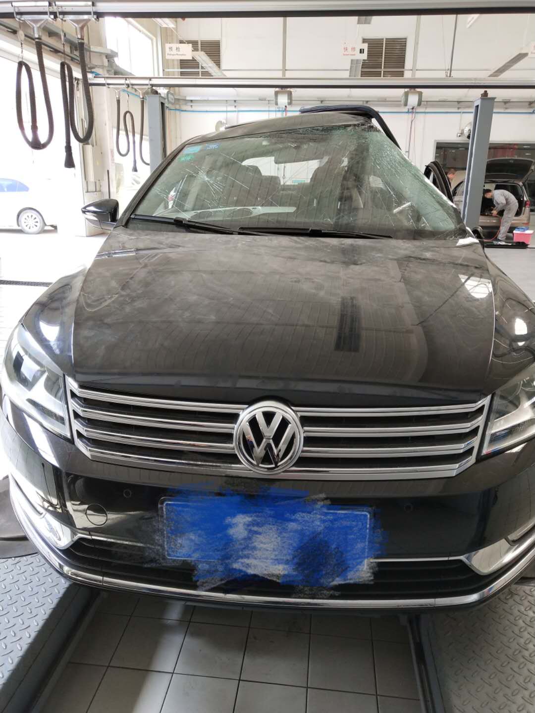 样照