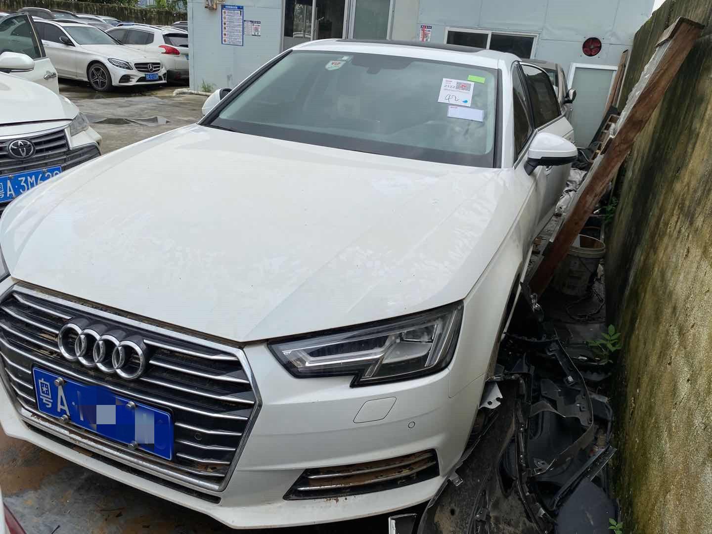 样照