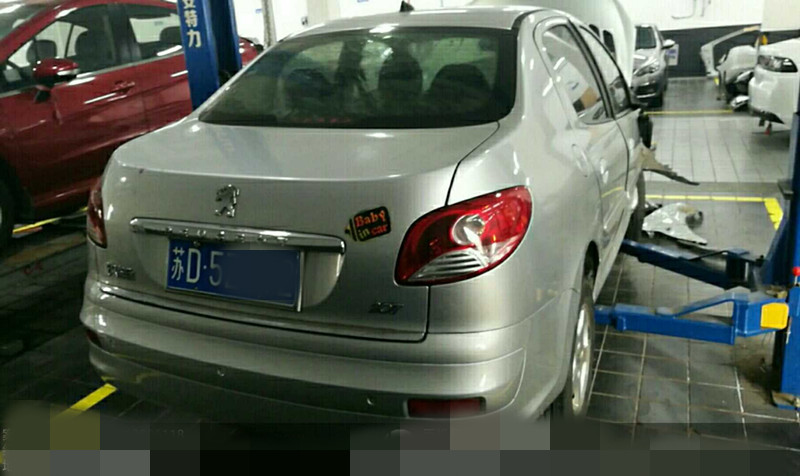 样照