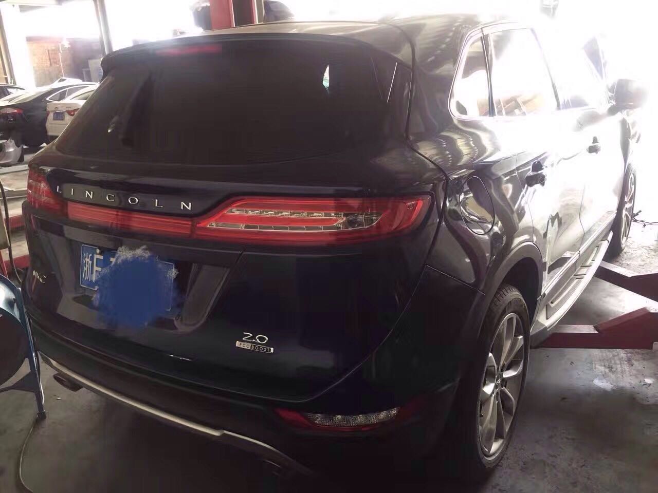 样照