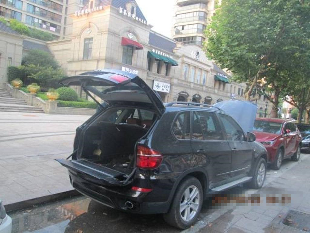 样照