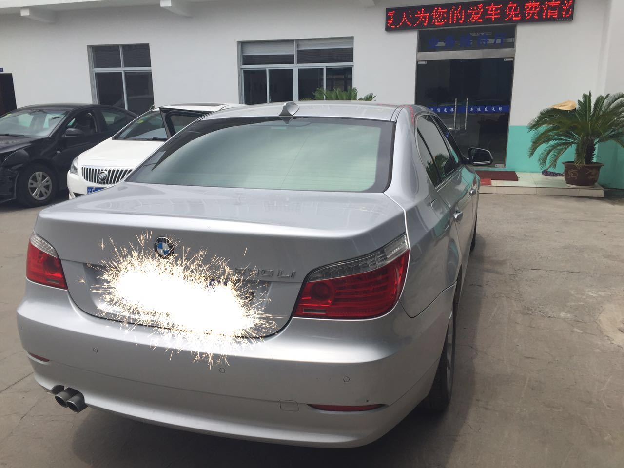 样照