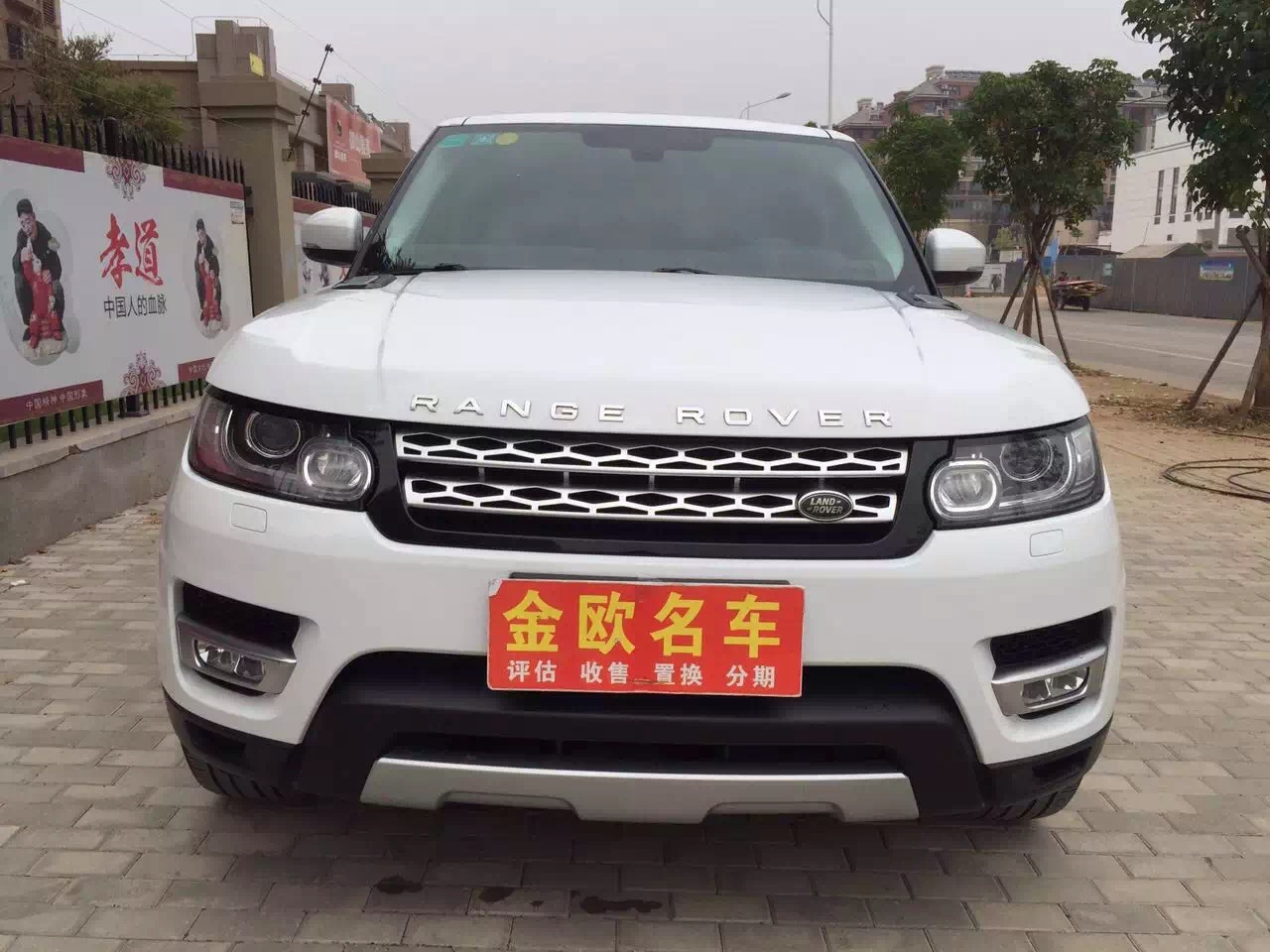样照